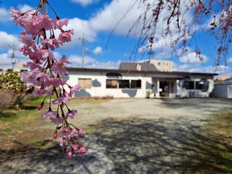 桜と市民活動センターうぇるる