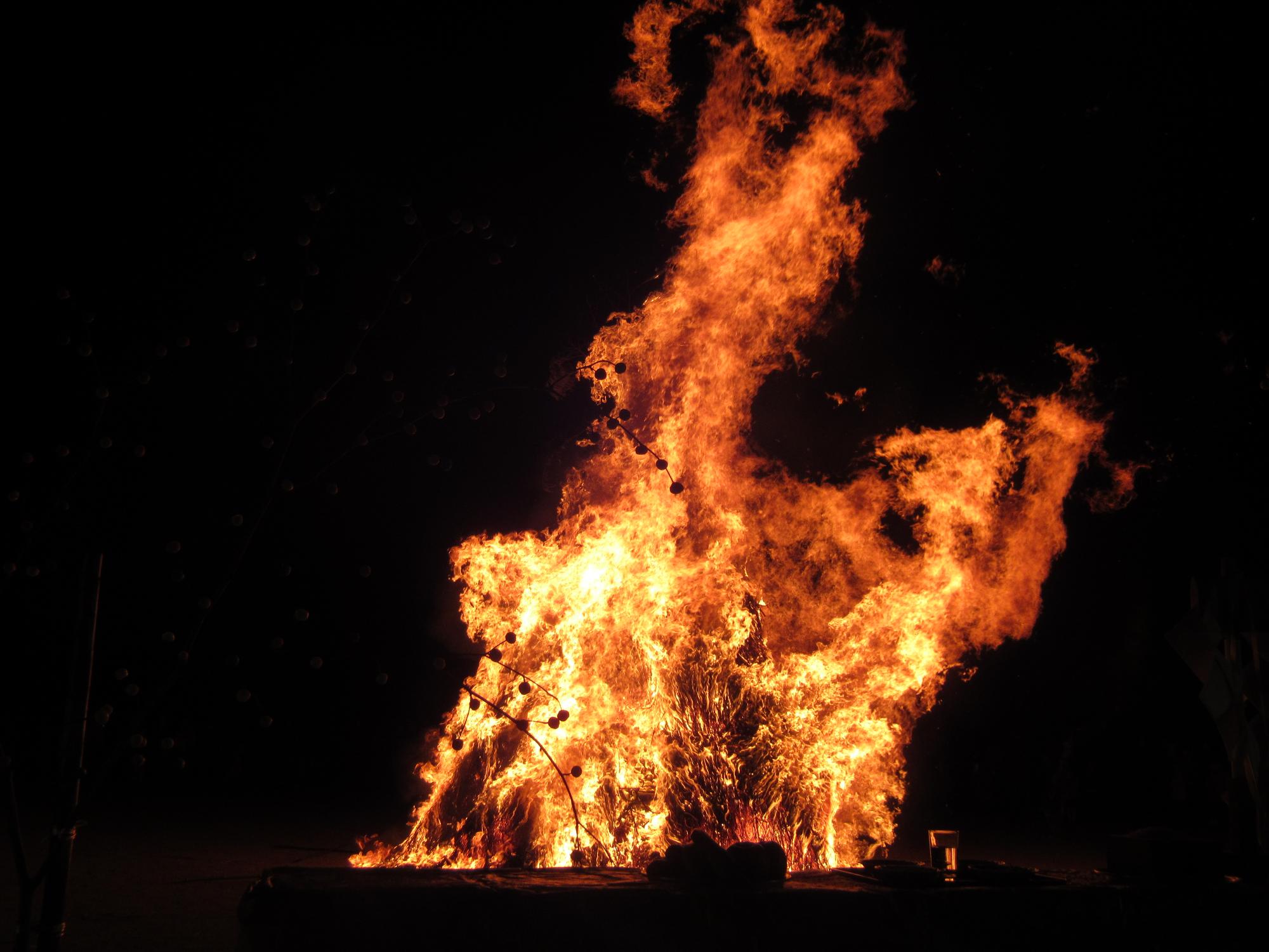 トリ小屋は、勢いよく燃え上っていきます。
