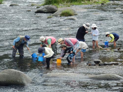 箒川でカジカ釣り