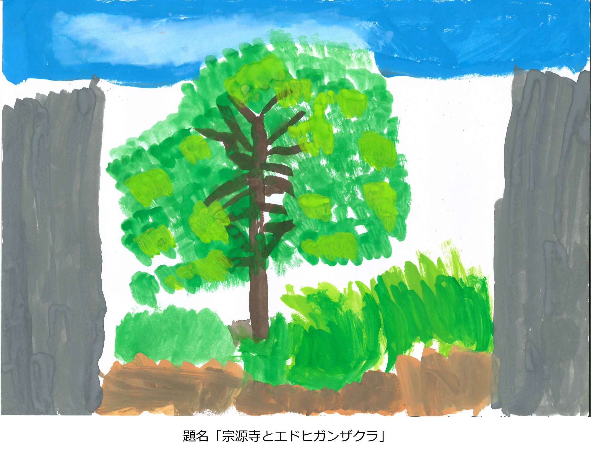 宗源寺とエドヒガンザクラ