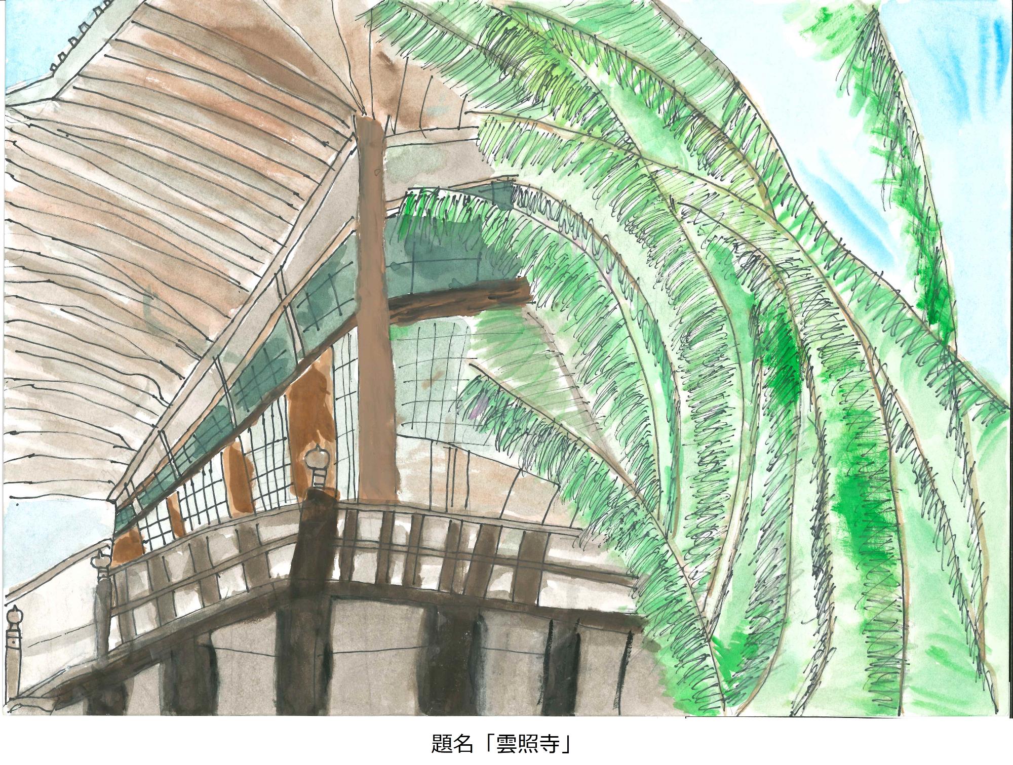 雲照寺