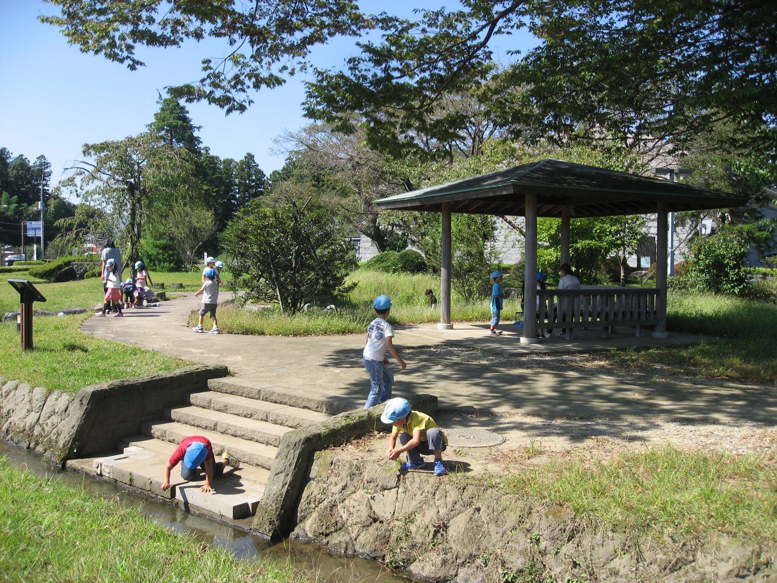 三島農場水辺