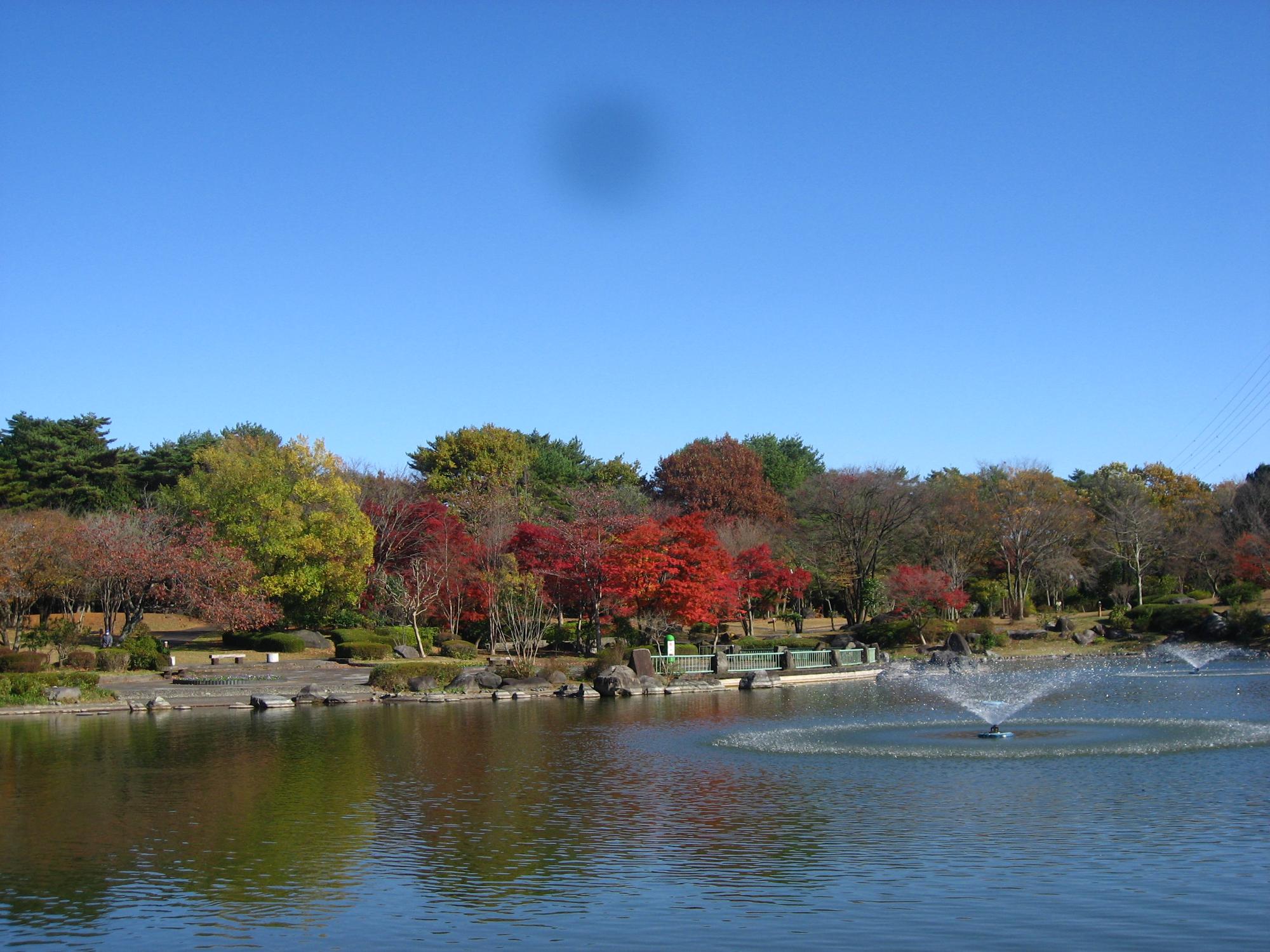 那須野が原公園