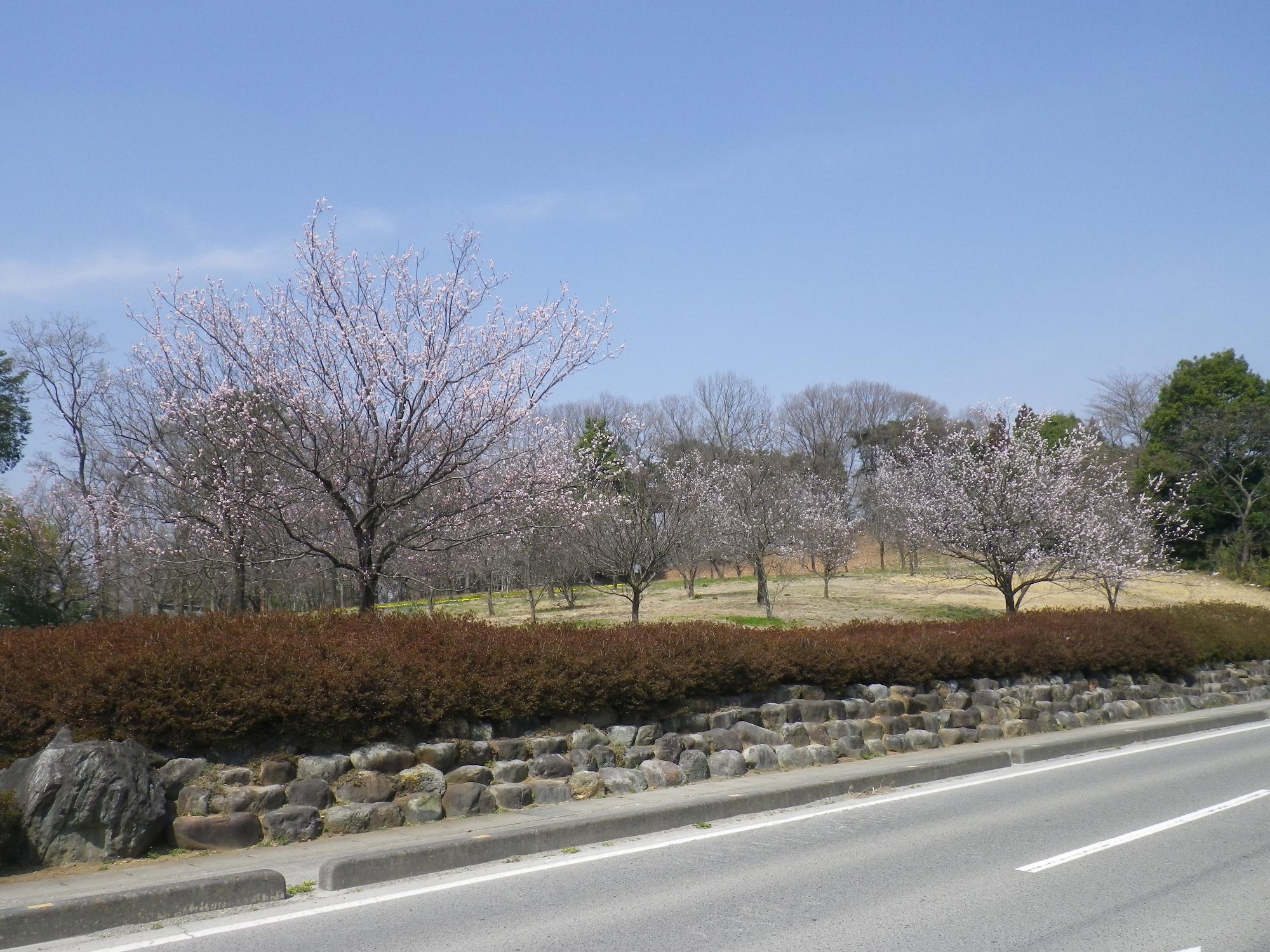 西郷神社