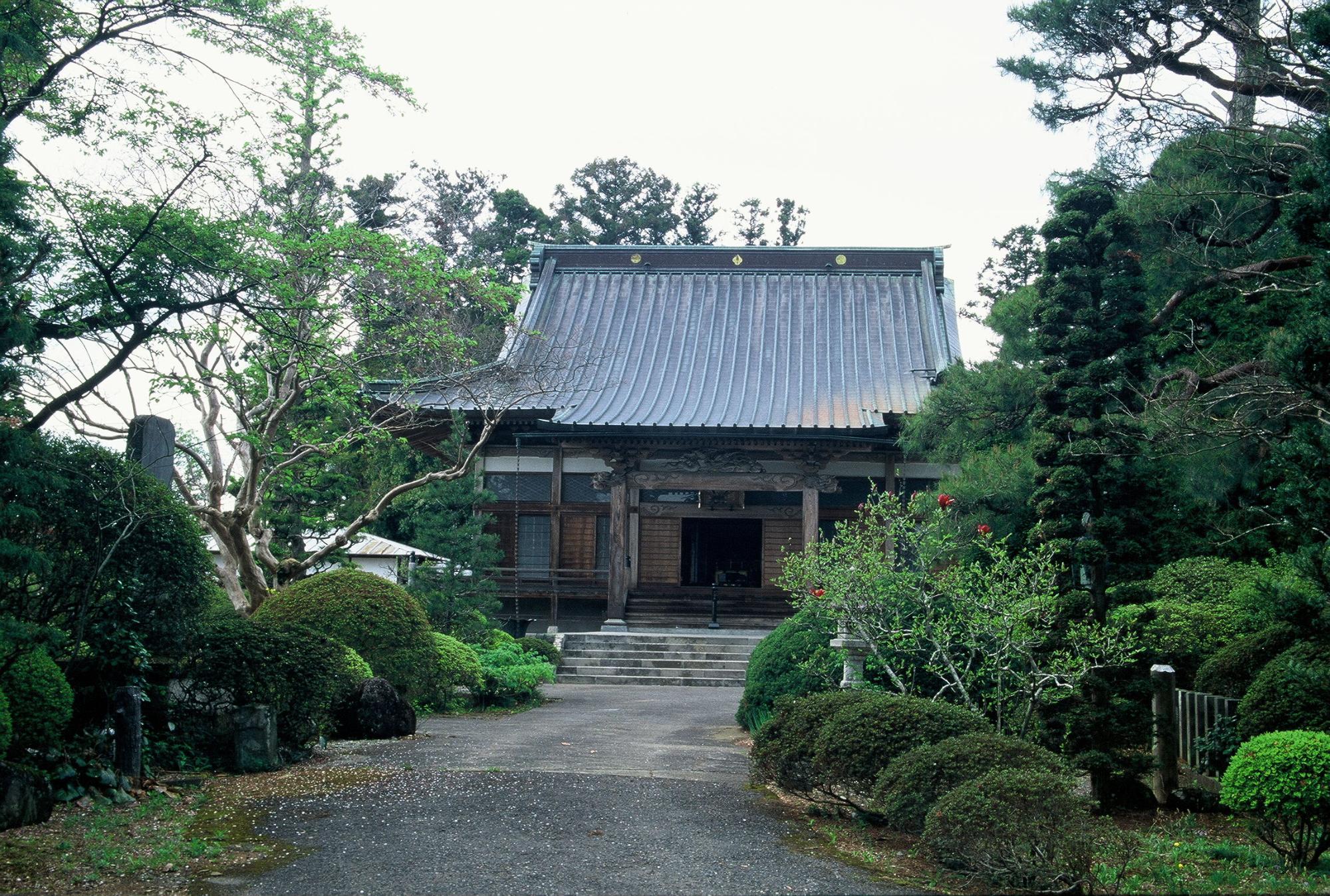 光尊寺と大銀杏、馬頭観音