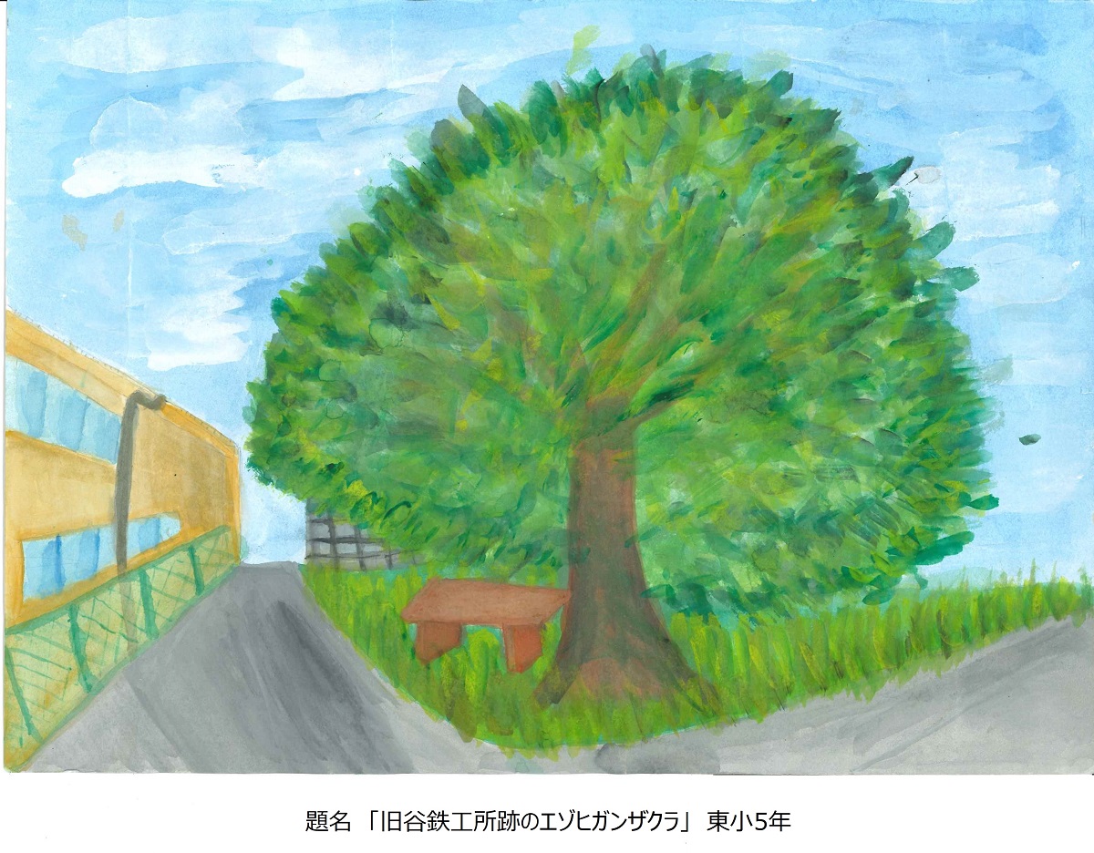 東小5年題名旧谷鉄工所跡のエドヒガン桜