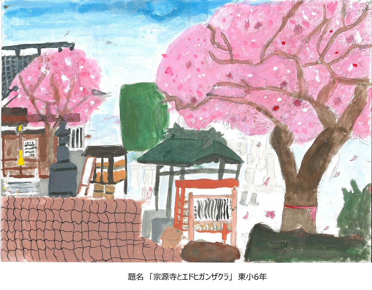 東小6年題名宗源寺とエドヒガン桜