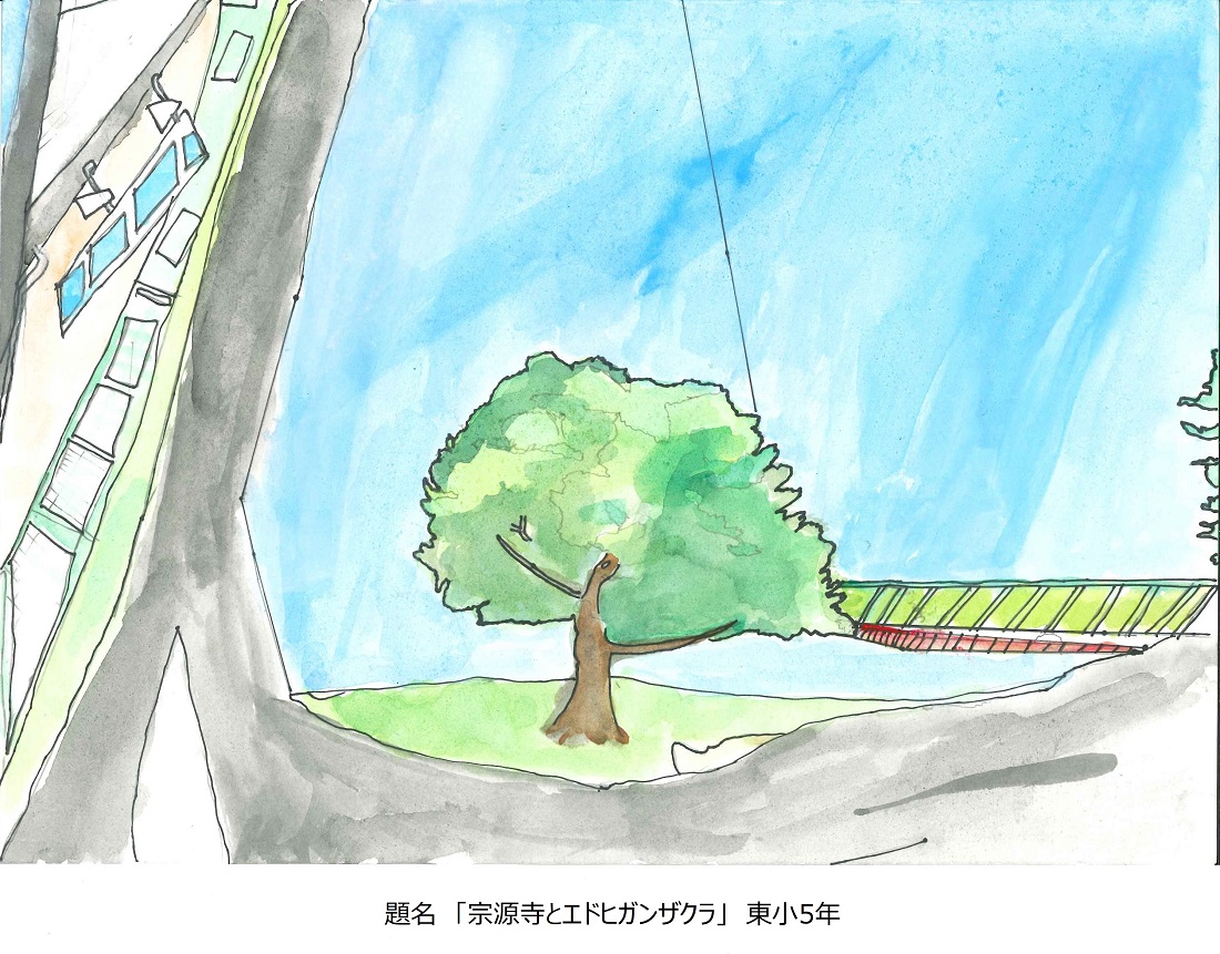 東小5年題名宗源寺とエドヒガン桜