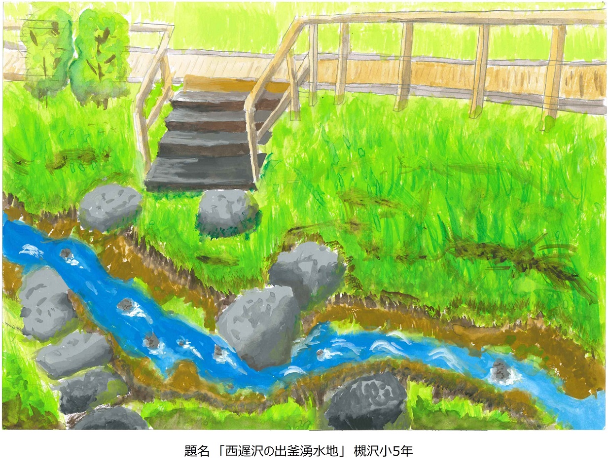 題名「西奥沢の出釜湧水地」槻沢小5年