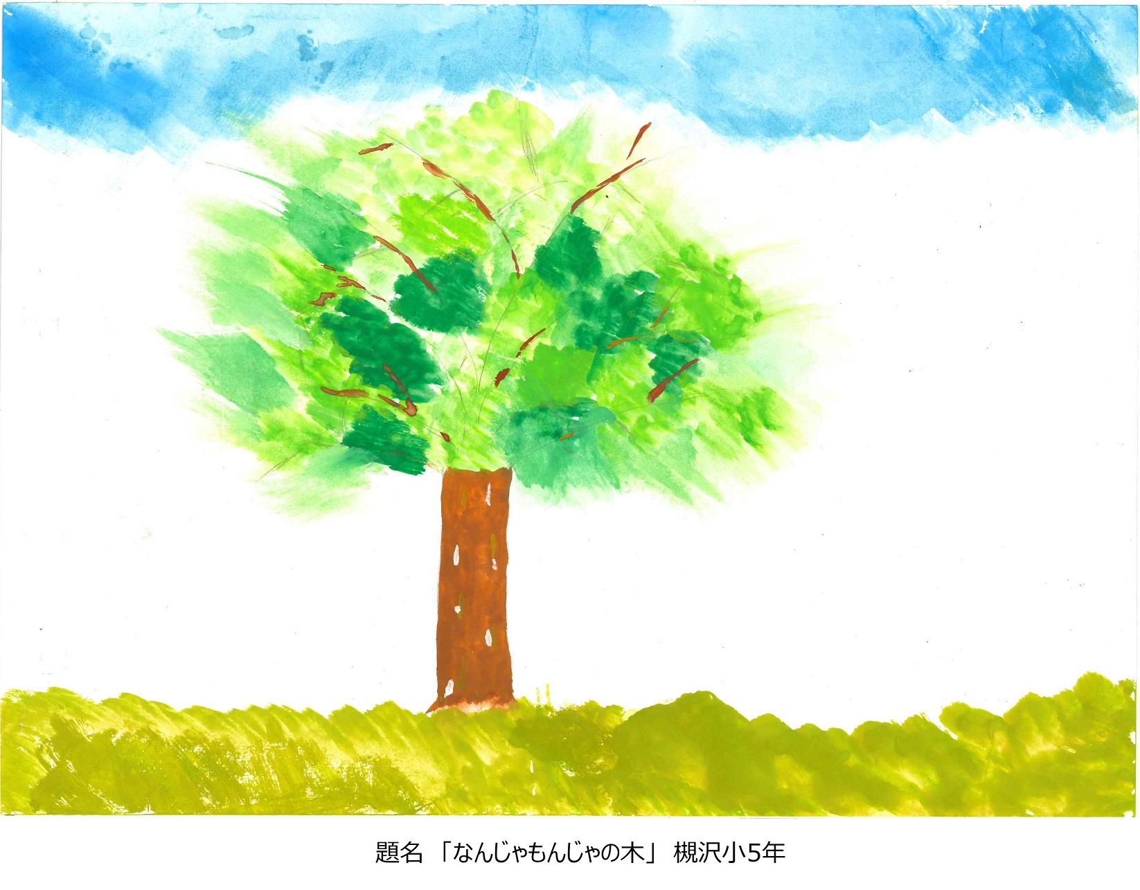 槻小5年題名なんじゃもんじゃの木