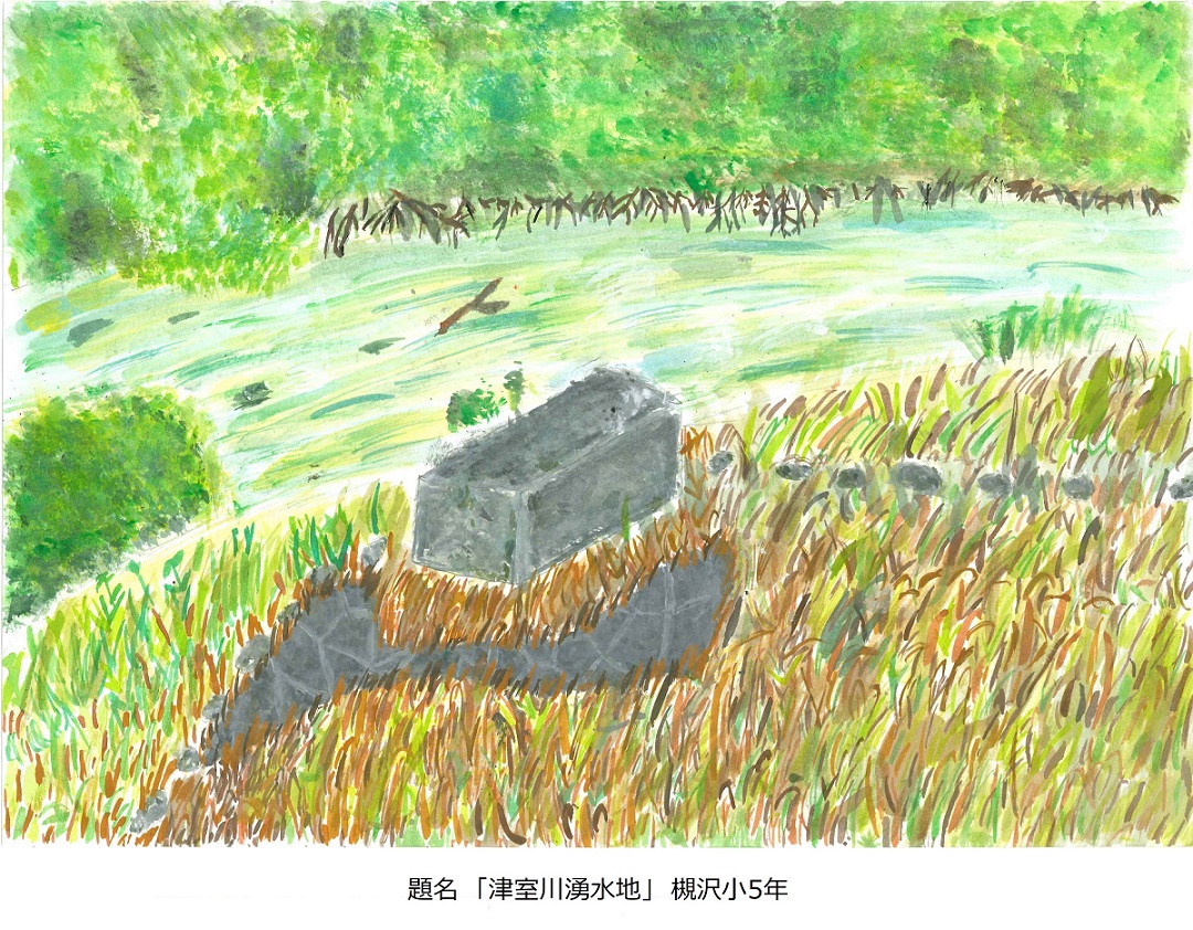 槻小5年題名津室川湧水地