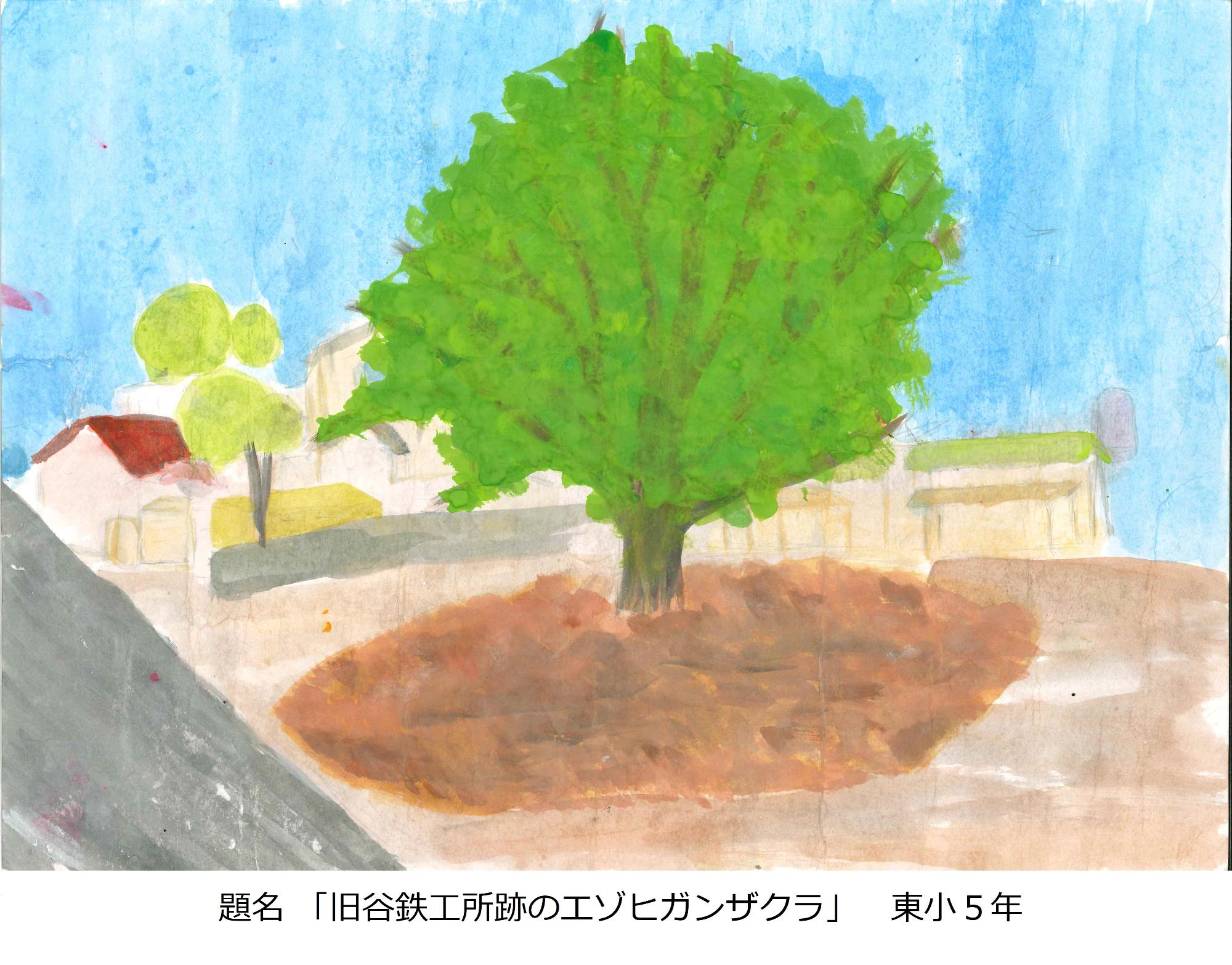 旧谷鉄工所のエドヒガンザクラ