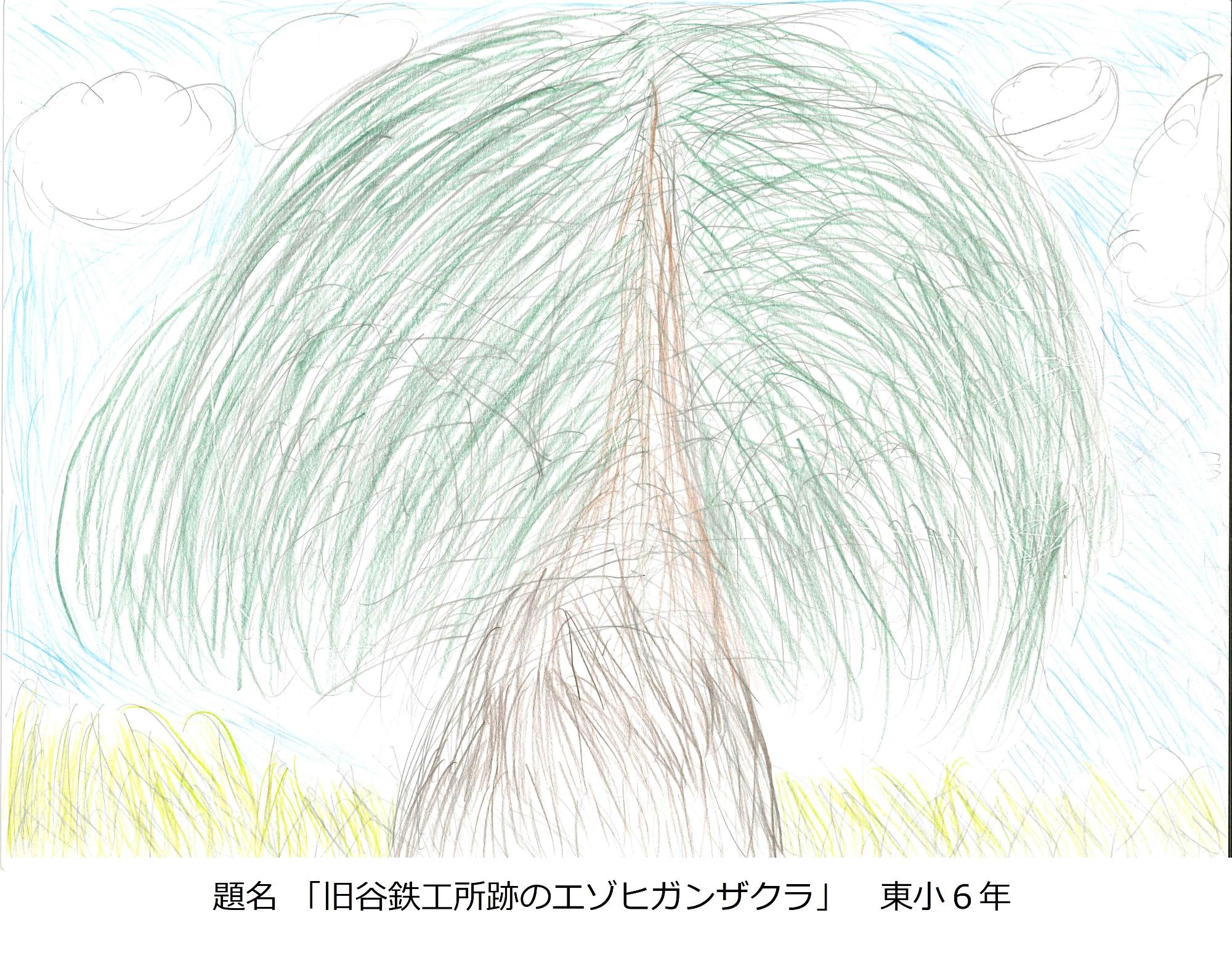 旧谷鉄工所のエドヒガンザクラ