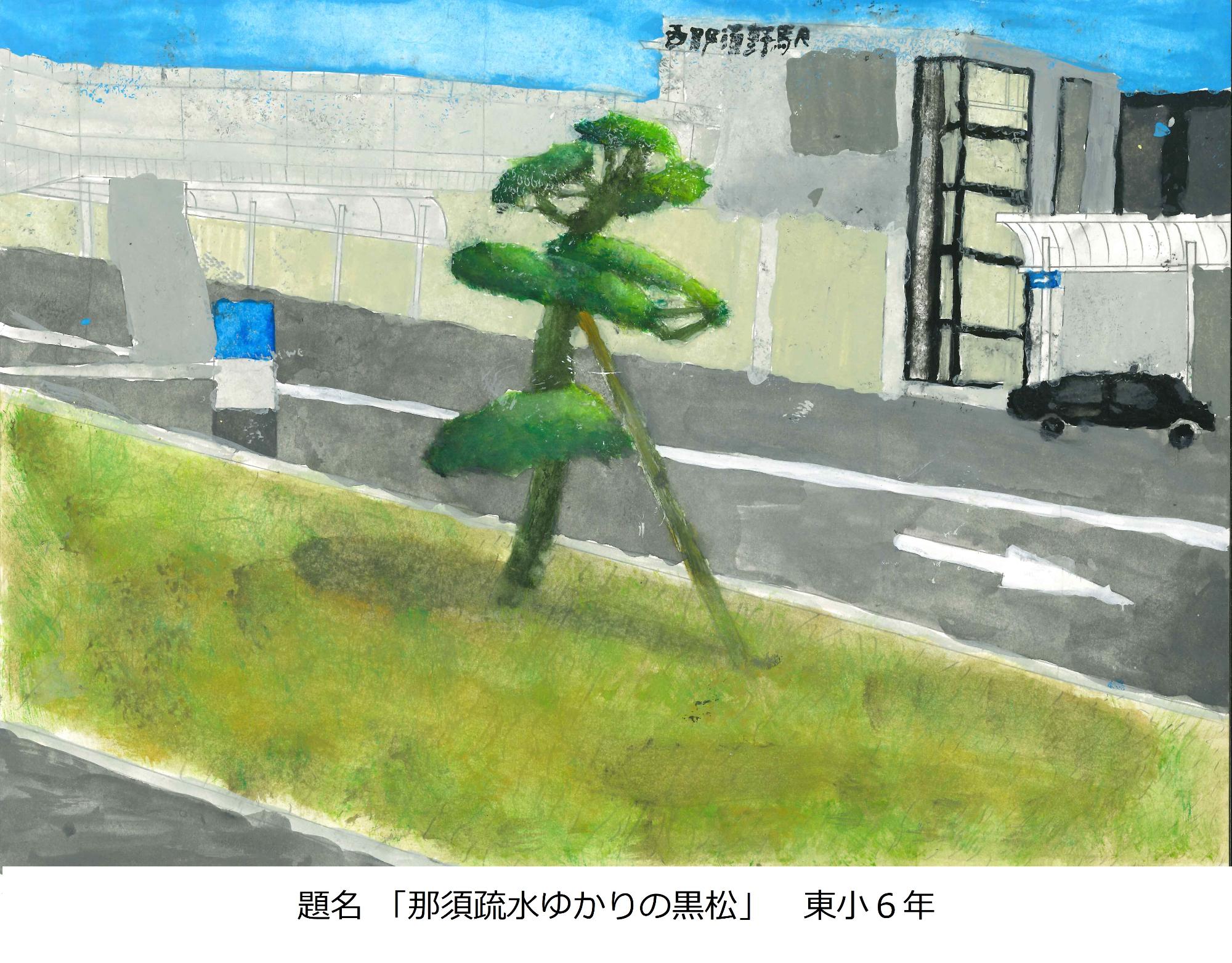 那須疏水ゆかりの黒松