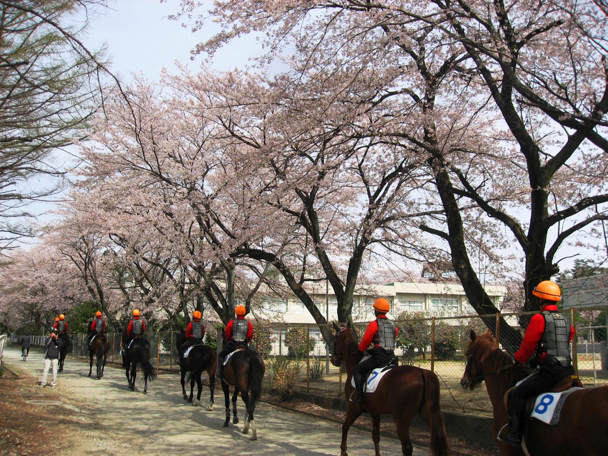 地方競馬教養センター