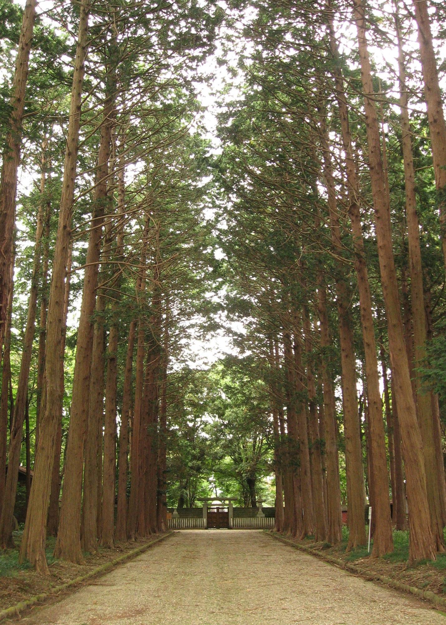 大山墓所