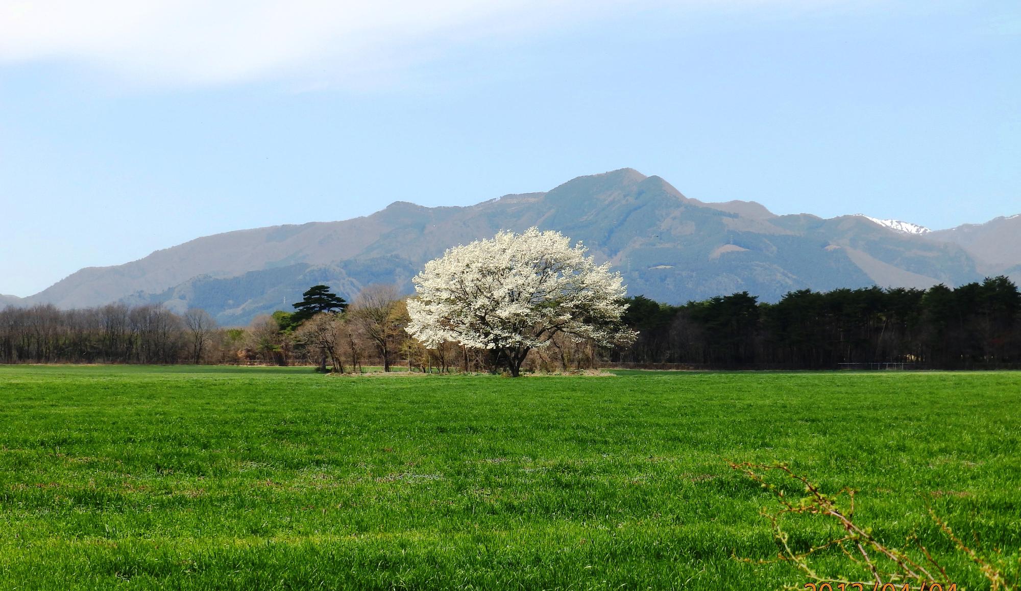 高原山