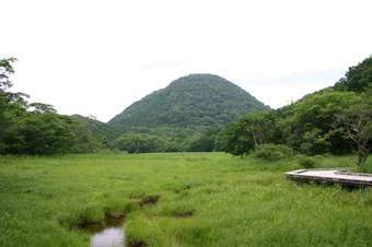 森に囲まれ山草が生えた、富士山の東側に広がる湿原である大沼公園の写真