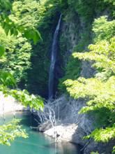 木々に囲まれ、水を細長く落としている回顧の滝（みかえりのたき）の写真