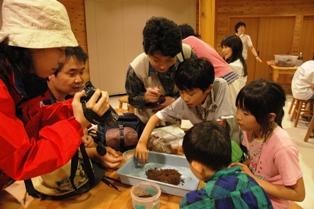 子供達がミヤマクワガタの生態を観察している様子の写真