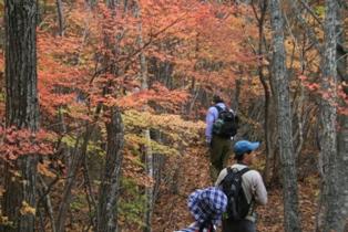 3人の参加者が紅葉を眺めながら散策している、塩原の秋の自然の風景の写真