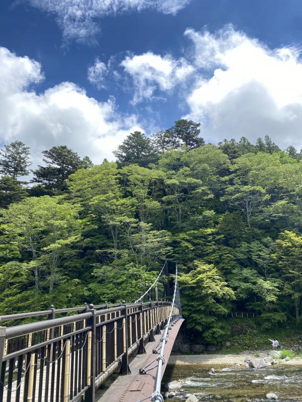 新緑の木々と川の上にかかる紅の吊り橋の写真